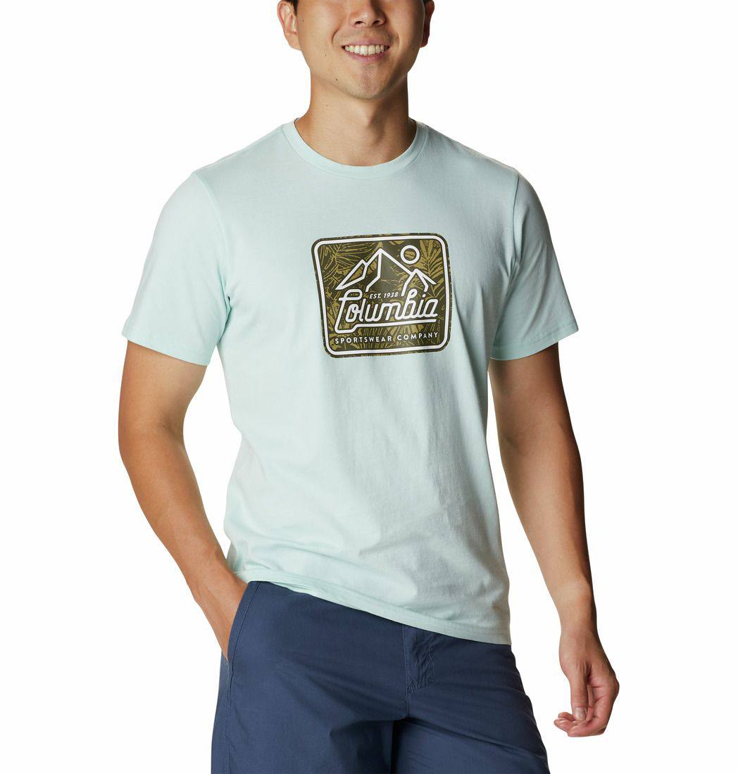 Rapid Ridge Graph Tee Ice XL