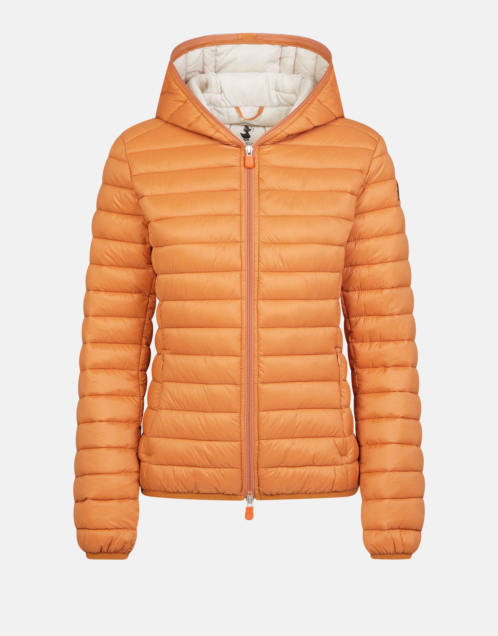 Daisy W Hooded Orange 3